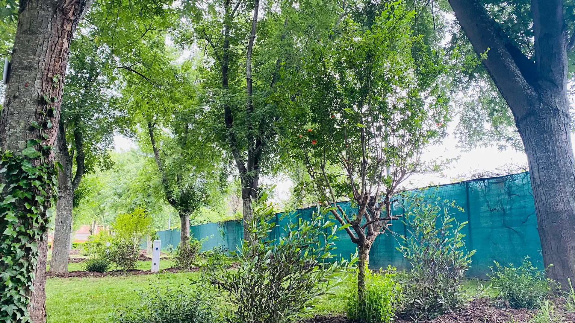 emplacement-camping-lesportesducanigou