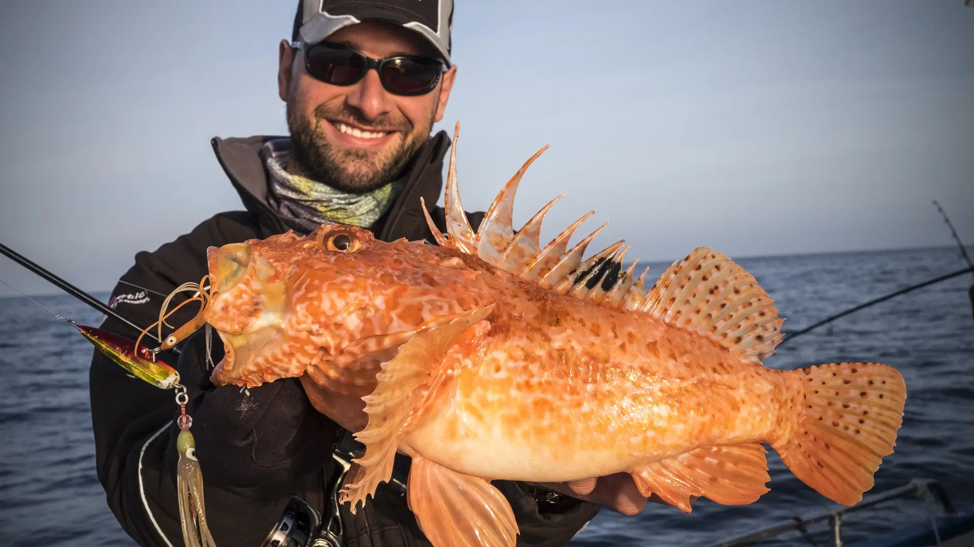 escorpora retoc 1'7k