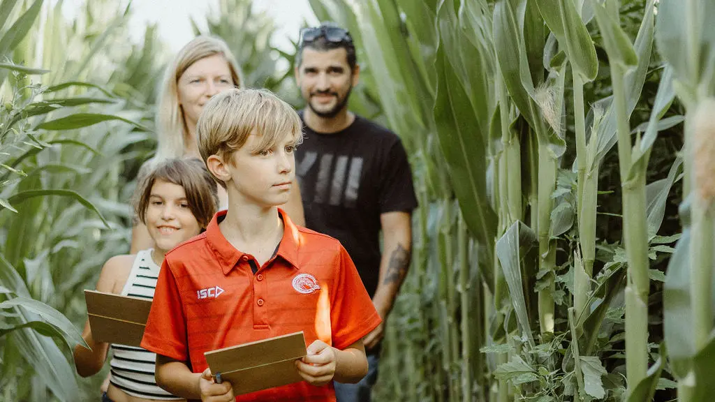 famille dans le labyrinthe éphèmére du jardin d'Ariane