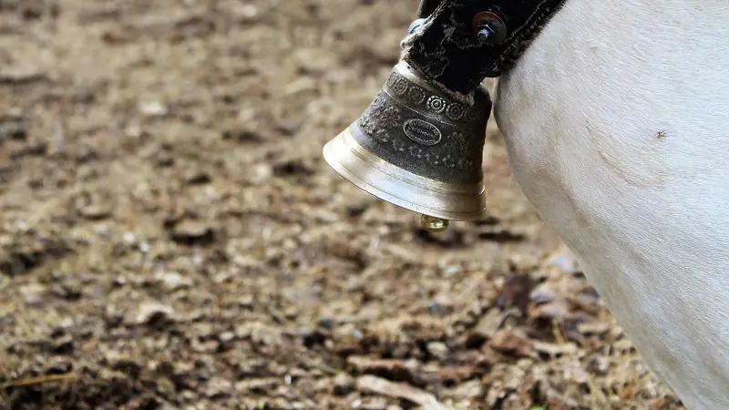 ferme du mas guiter 4