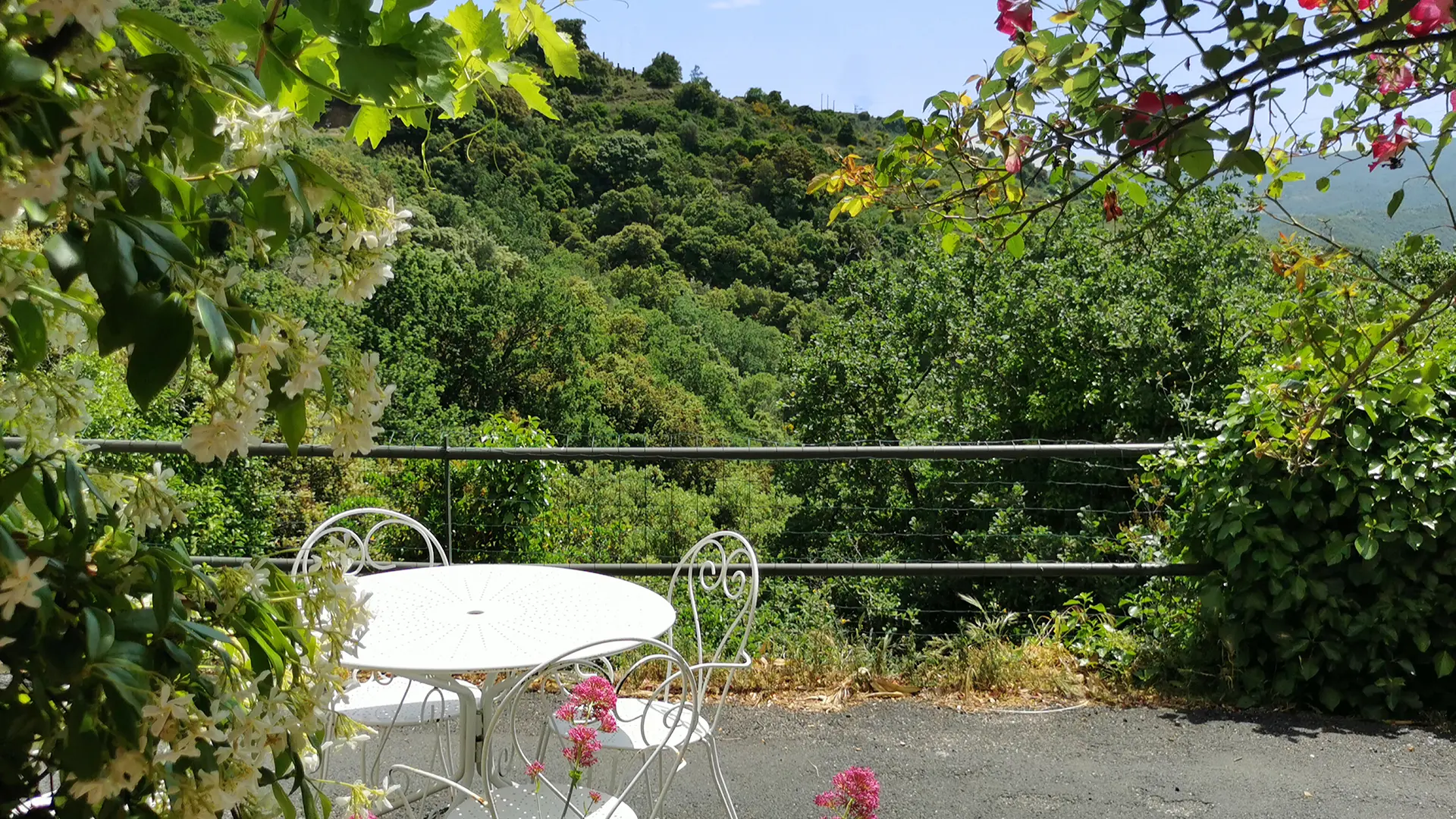 forge ext 2 terrasse 8