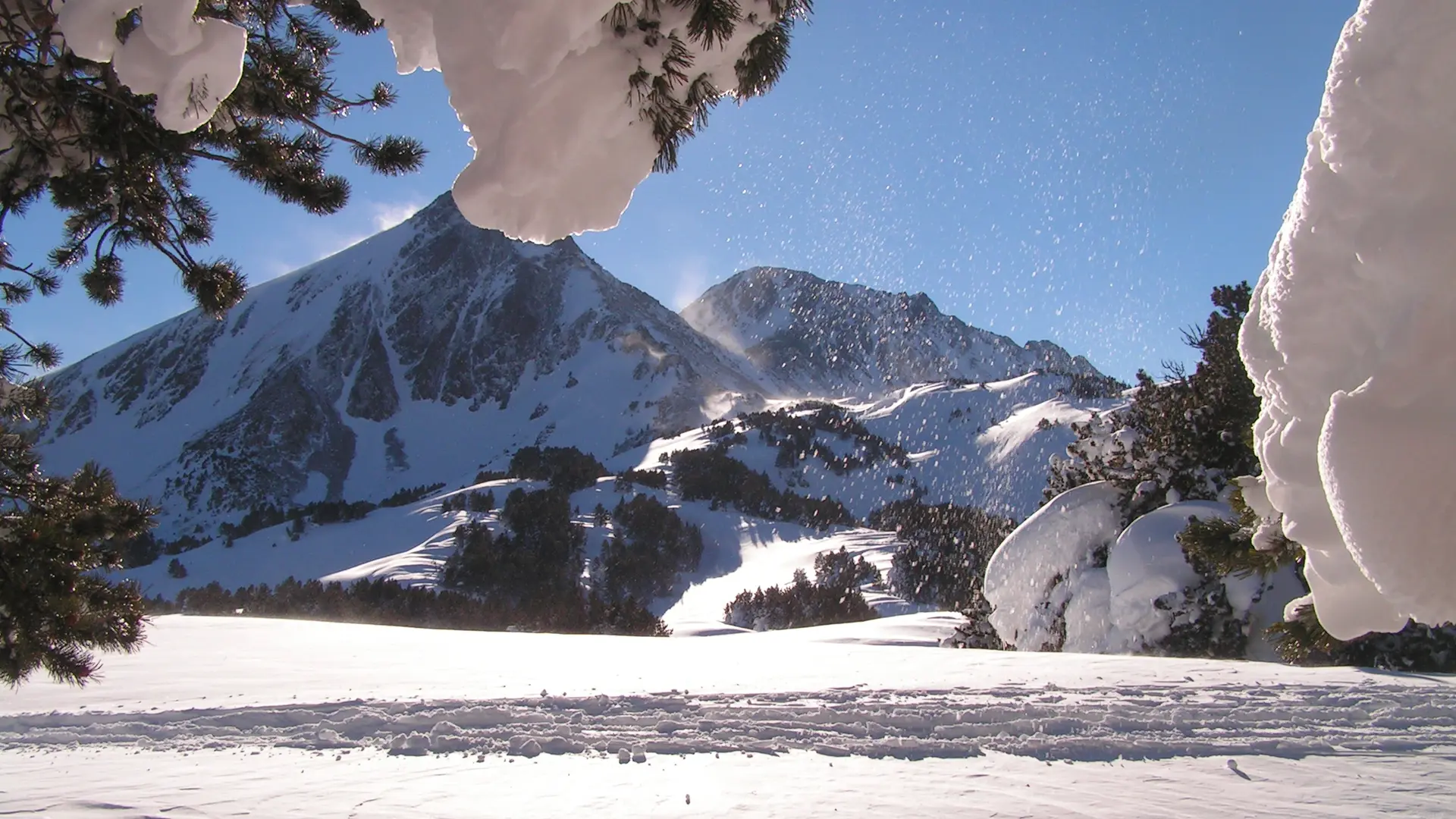 formigueres_camporells