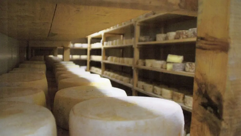 fromagerie cal gilet 2