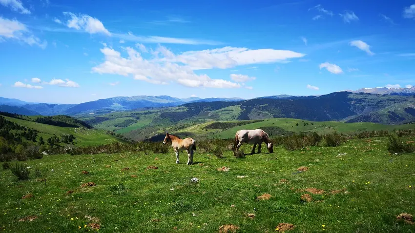 Vue sur le versant espagnol, Vall de Camprodon depuis la Collada de Prats_1