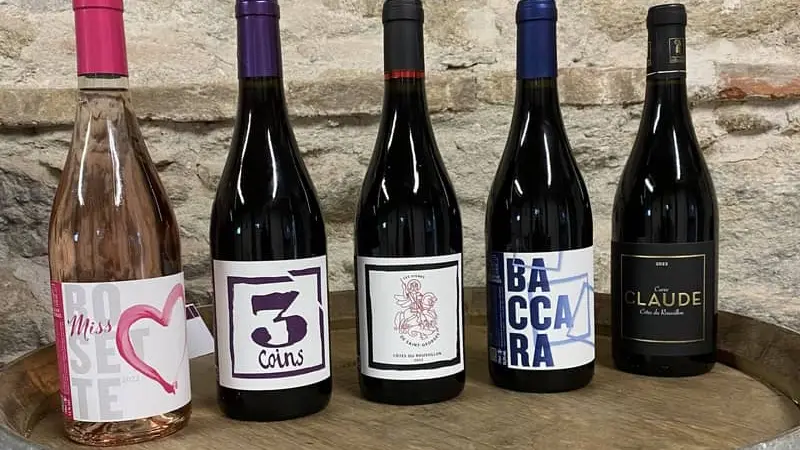 Domaine Bellevue Saint Georges