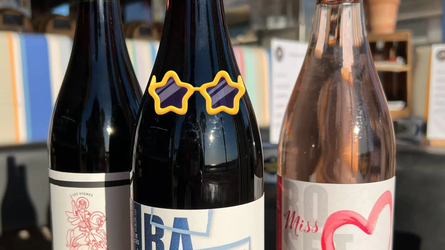 galerie_domaine_bellevue_saint_georges-17