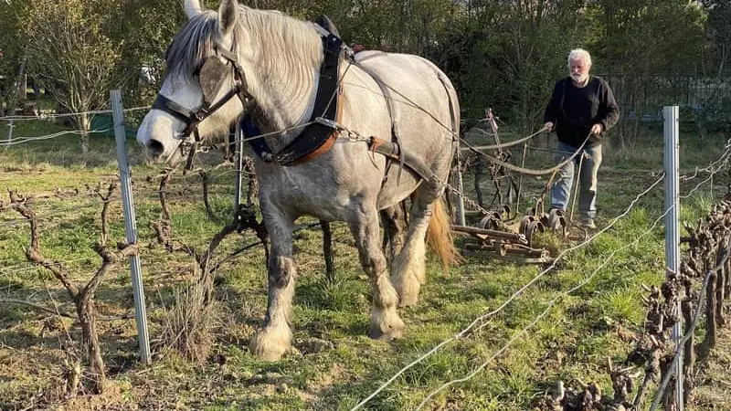 galerie_domaine_bellevue_saint_georges-2