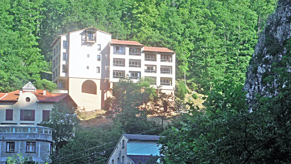 hostallier michel (1)