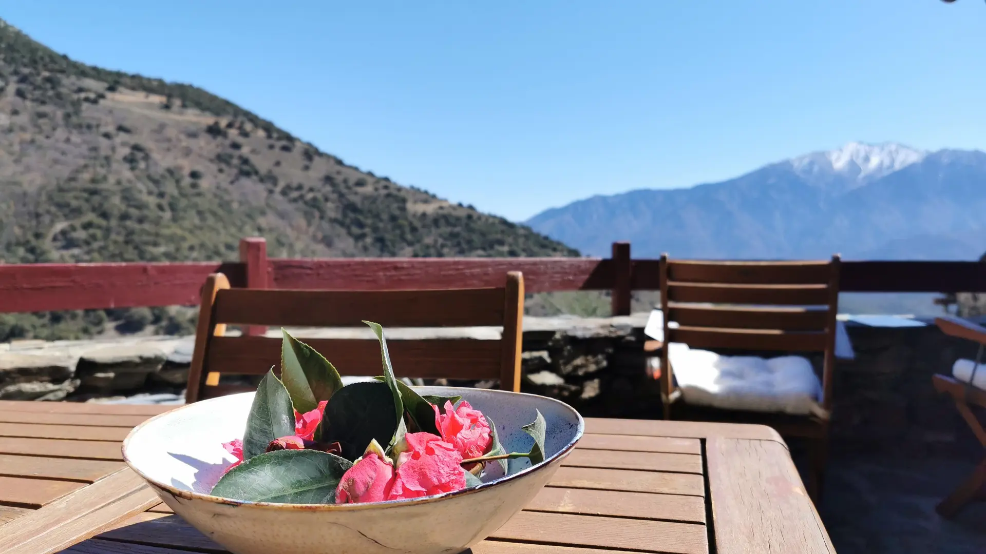 IMG_20230328_123634_12