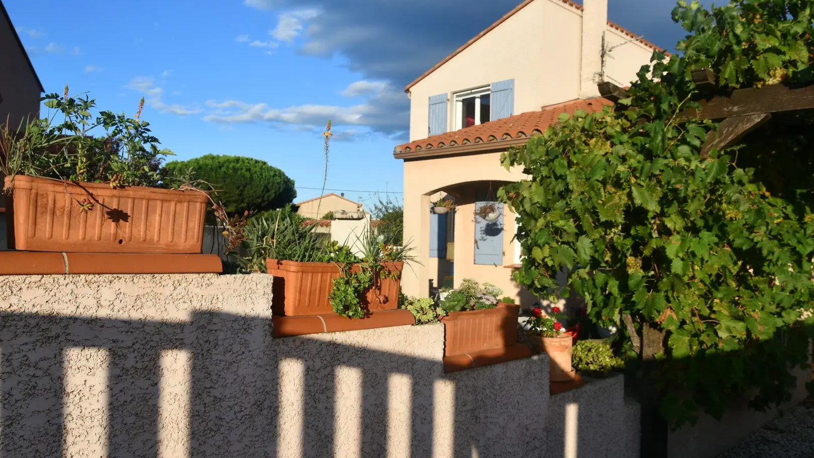 img_202205120633301290_6