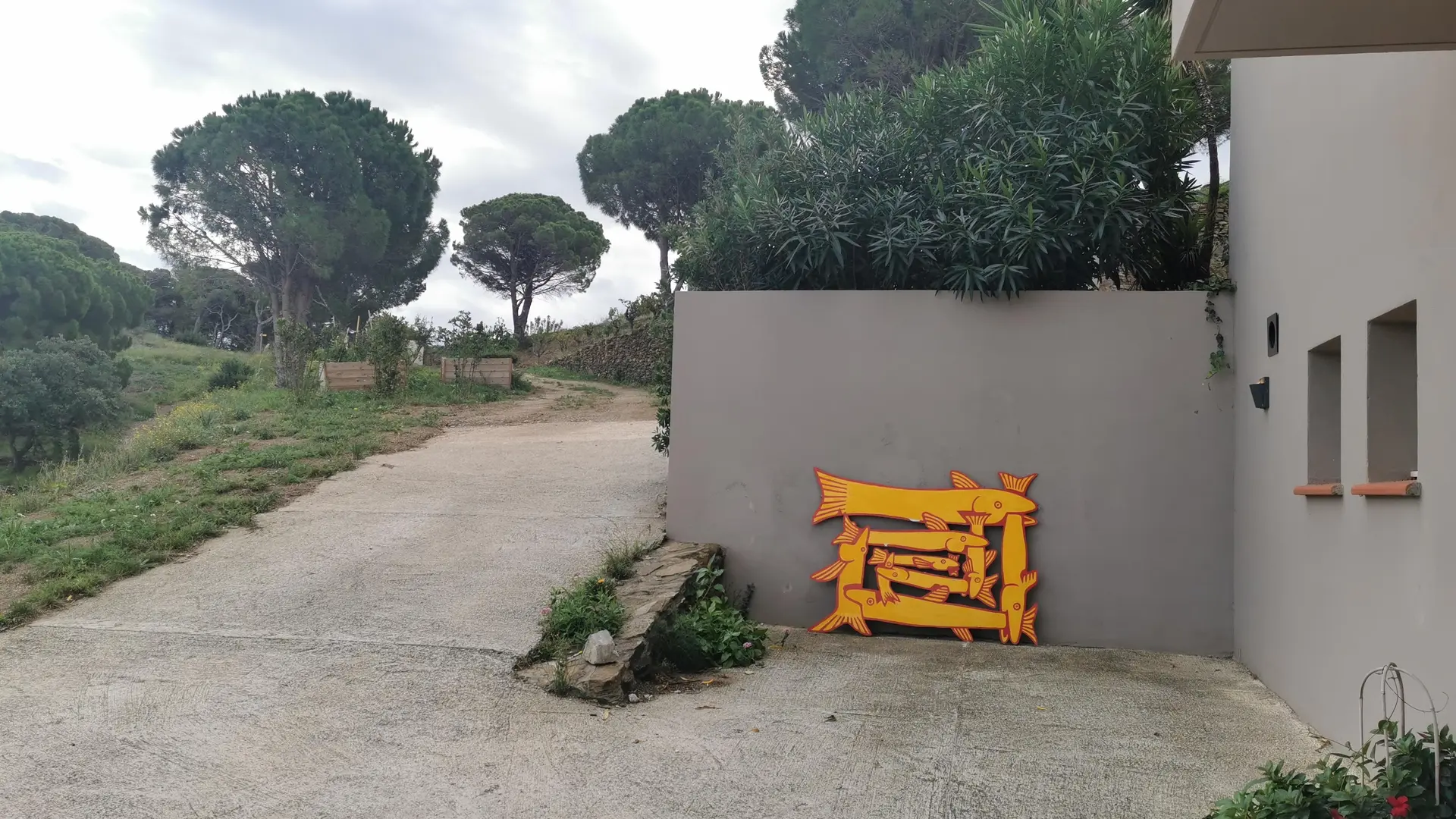 IMG_20231024_112911_17