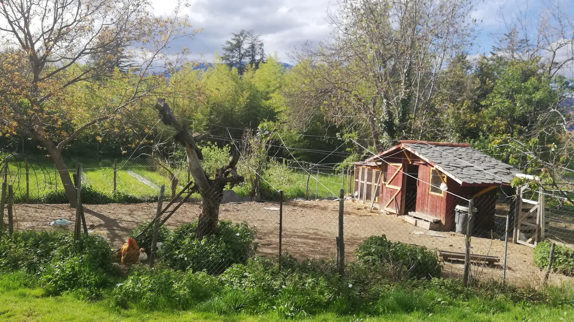 IMG_20190424_173204_11