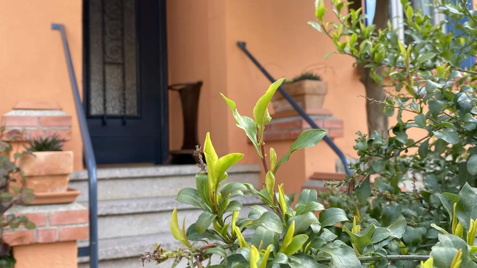 Les marches du gîte_31