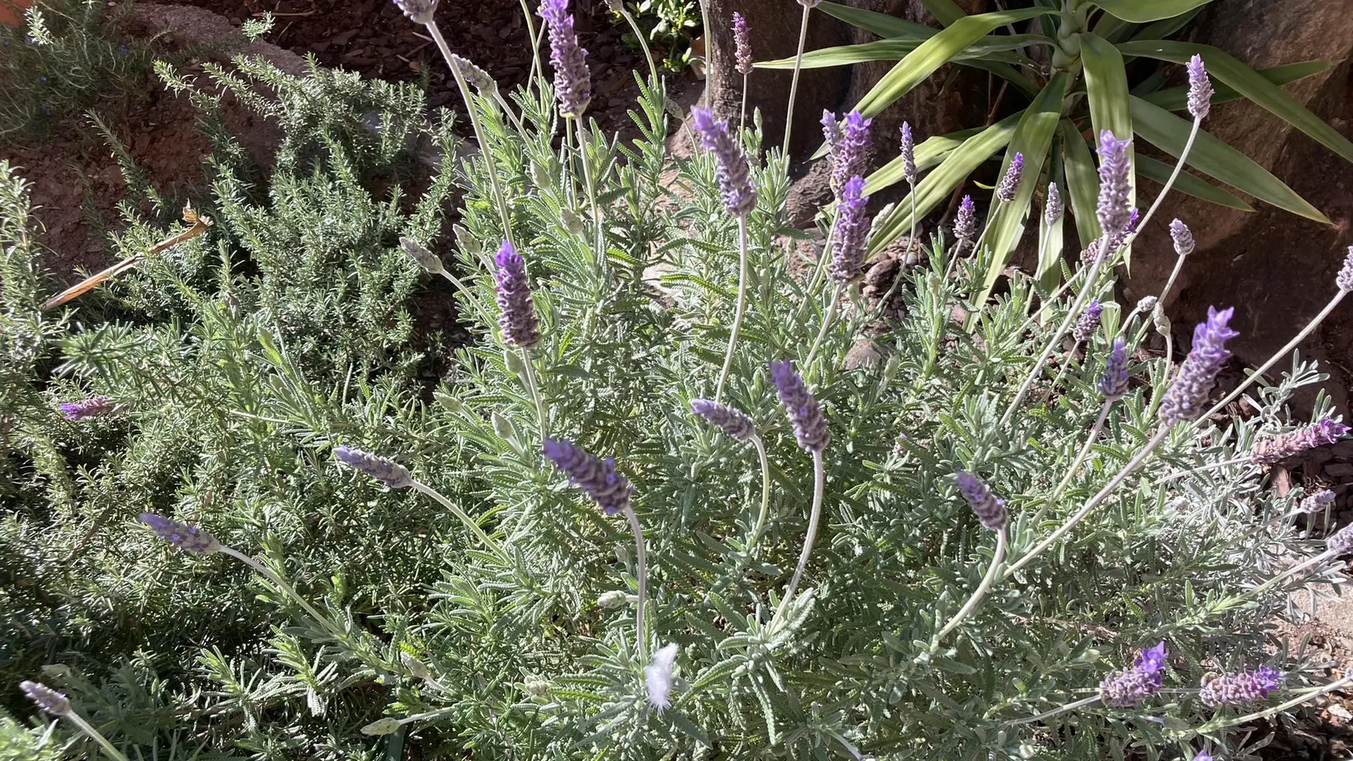 276A6B41-FF36-4753-A4B2-73A0C0284A7C_45