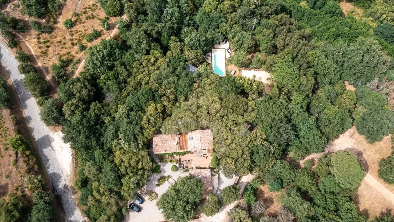 69e5f253-7e26-4602-bfdc-39997121814a_15