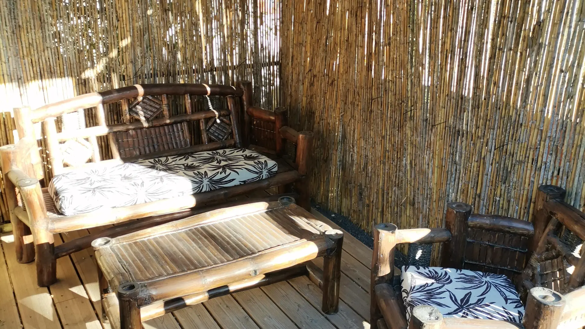 IMG_20221207_105236_32