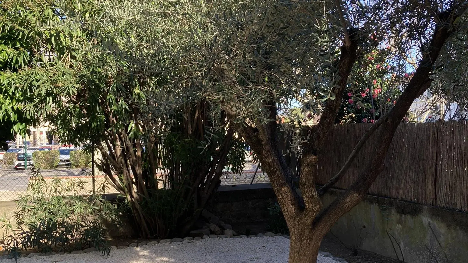 5505BF00-2644-4E96-92CF-60800634DE76_41