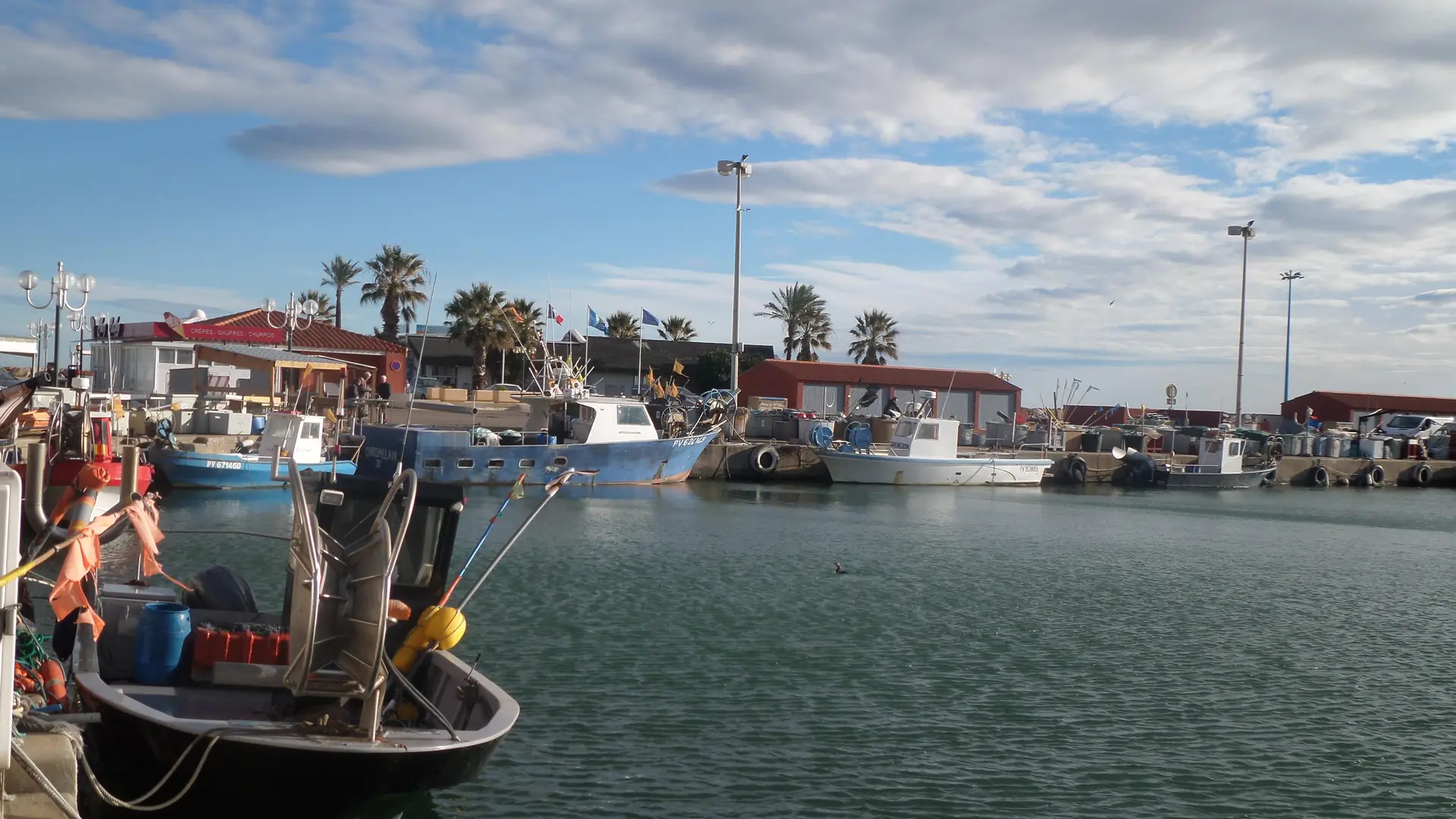St Cyprien Port de p^che_35