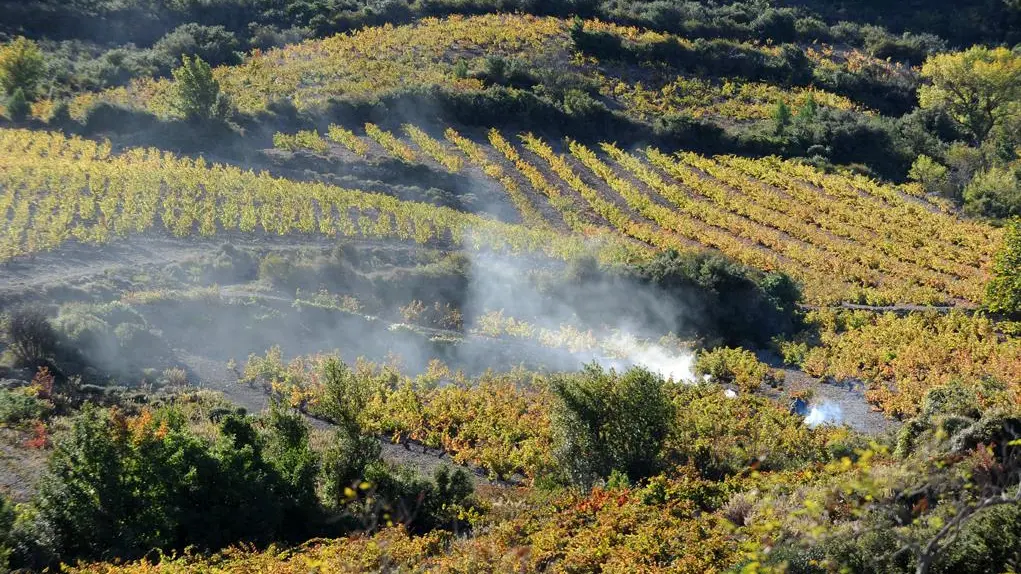 vue extérieure dans gîte sud de France_12