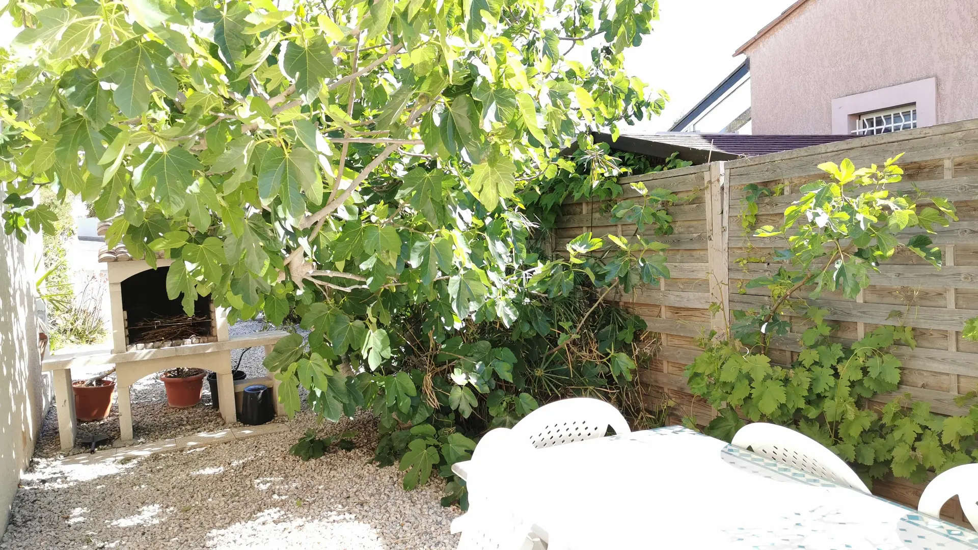 IMG_20240422_104119_9