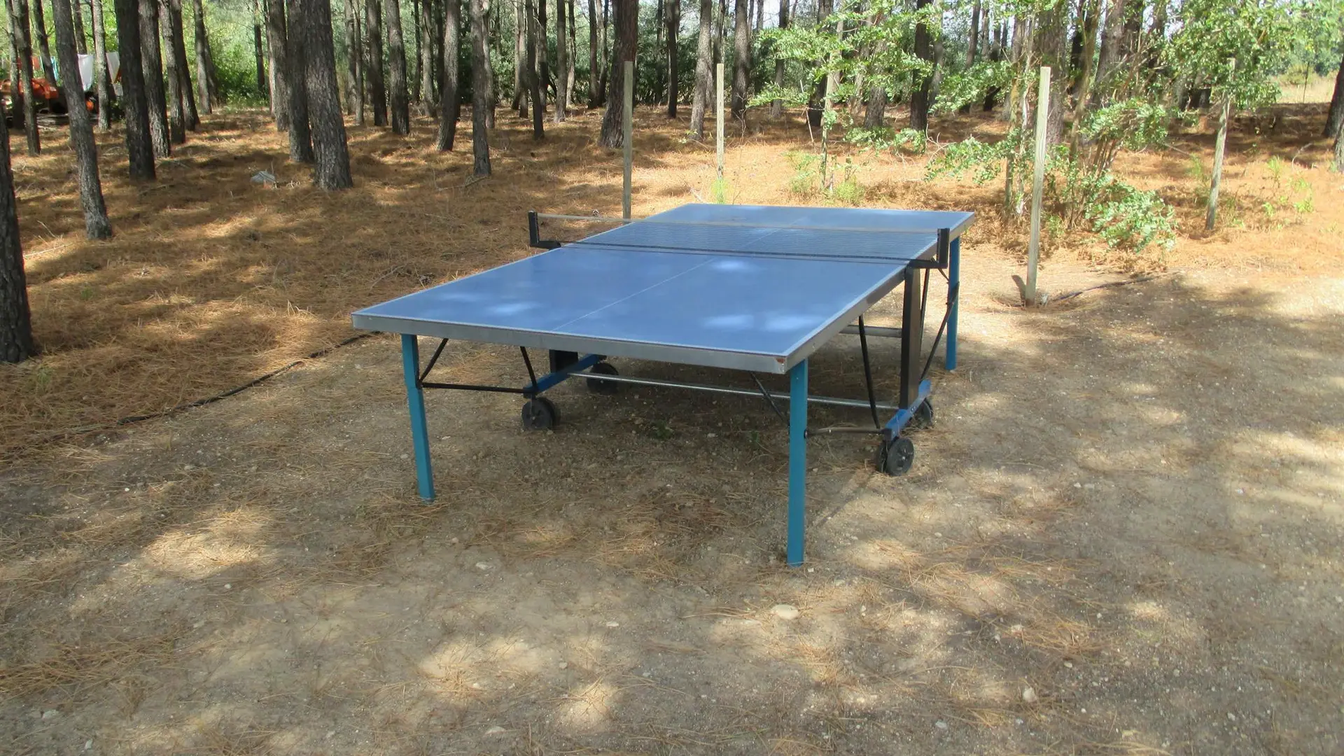 Et là c'est le ping-pong_10