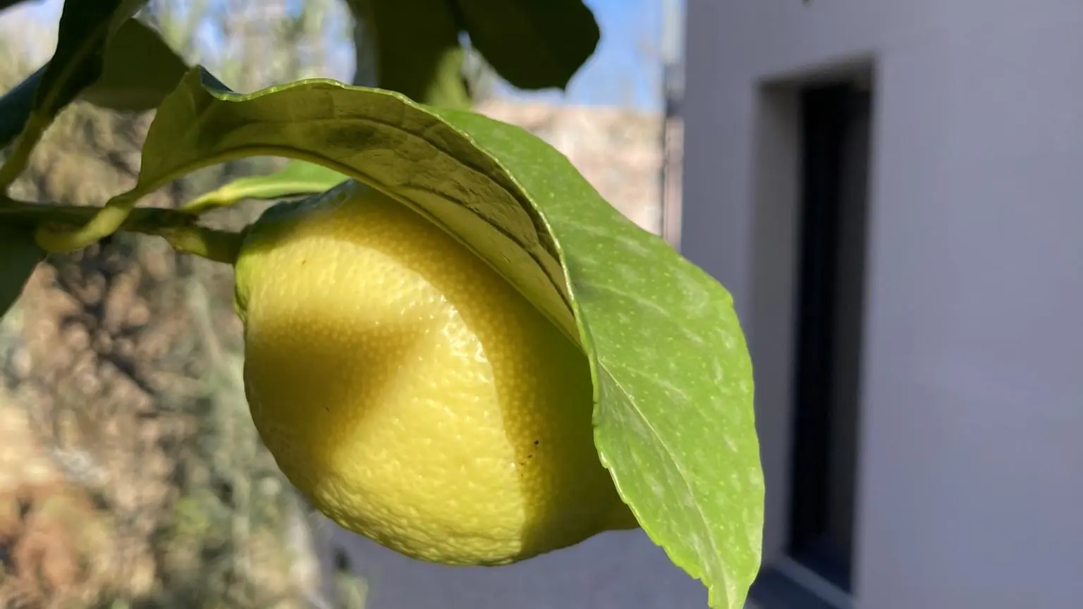 38DB501C-D4E1-4009-AA50-728DA92104BC_43