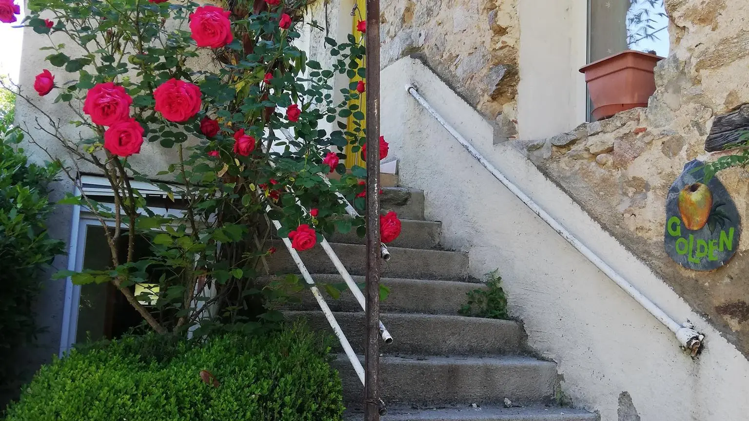 IMG_20200622_101428_2