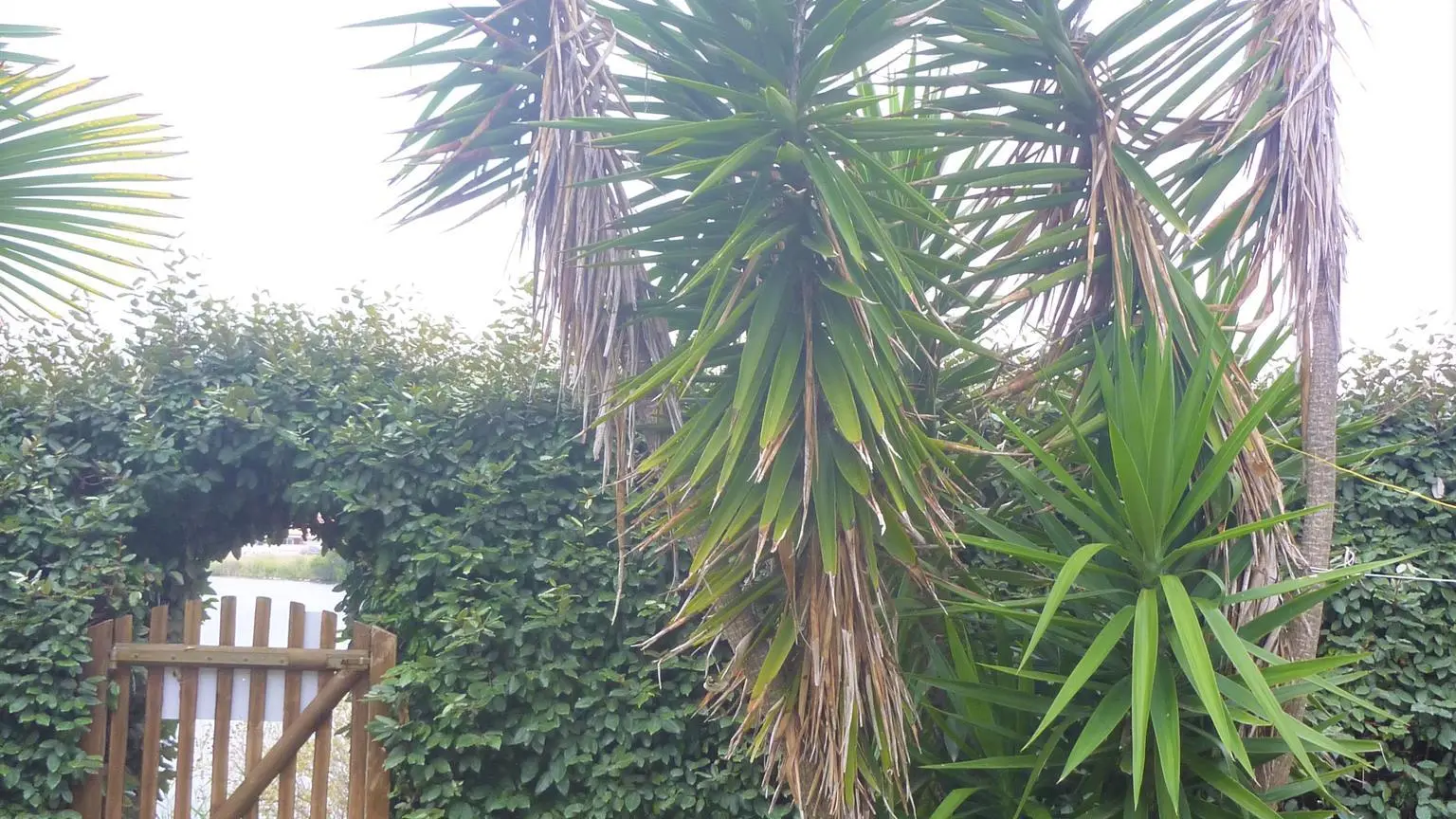 GITEDESDEUXRIVES JARDIN ACCES DIRECT ETANG_10