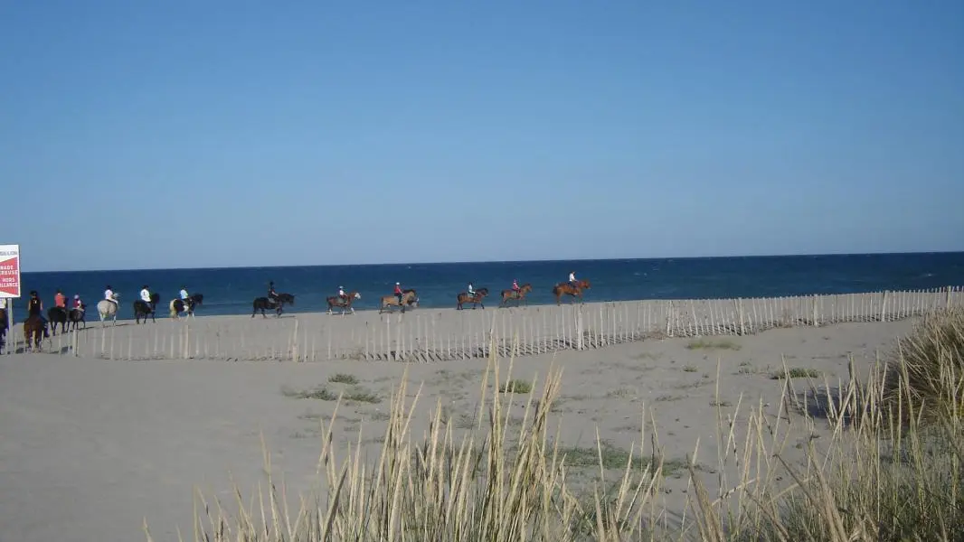 Chevaux plage 2_20