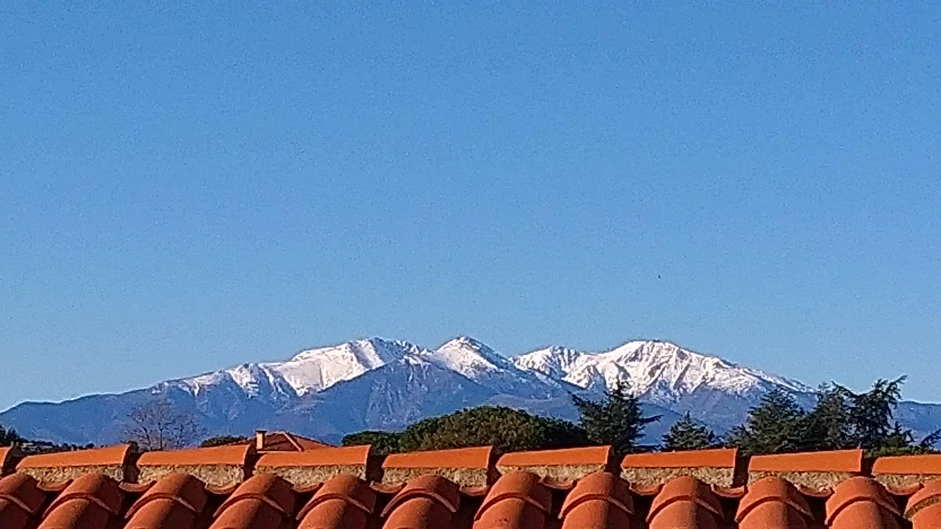 Le Canigó en janvier depuis le gîte