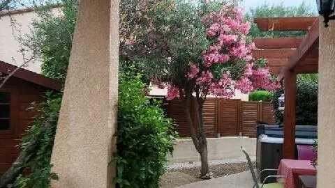 terrasse et jardin_15