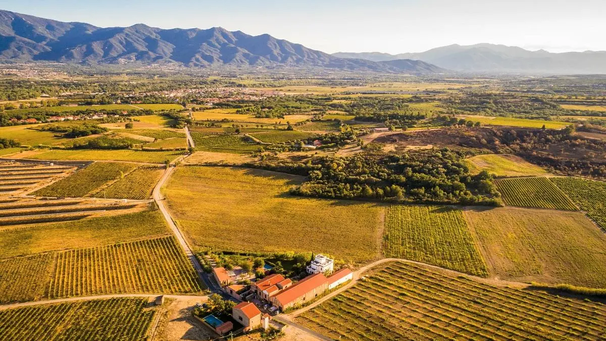 Clos des Aspres vue du ciel GDF_18