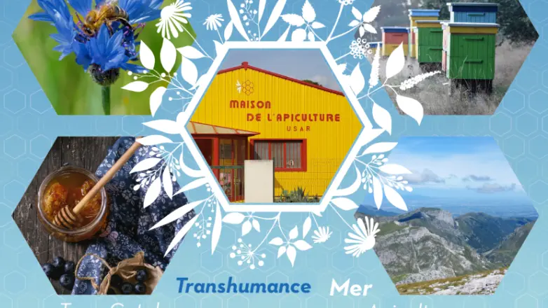 image_2025-04-11_161958227 USAR