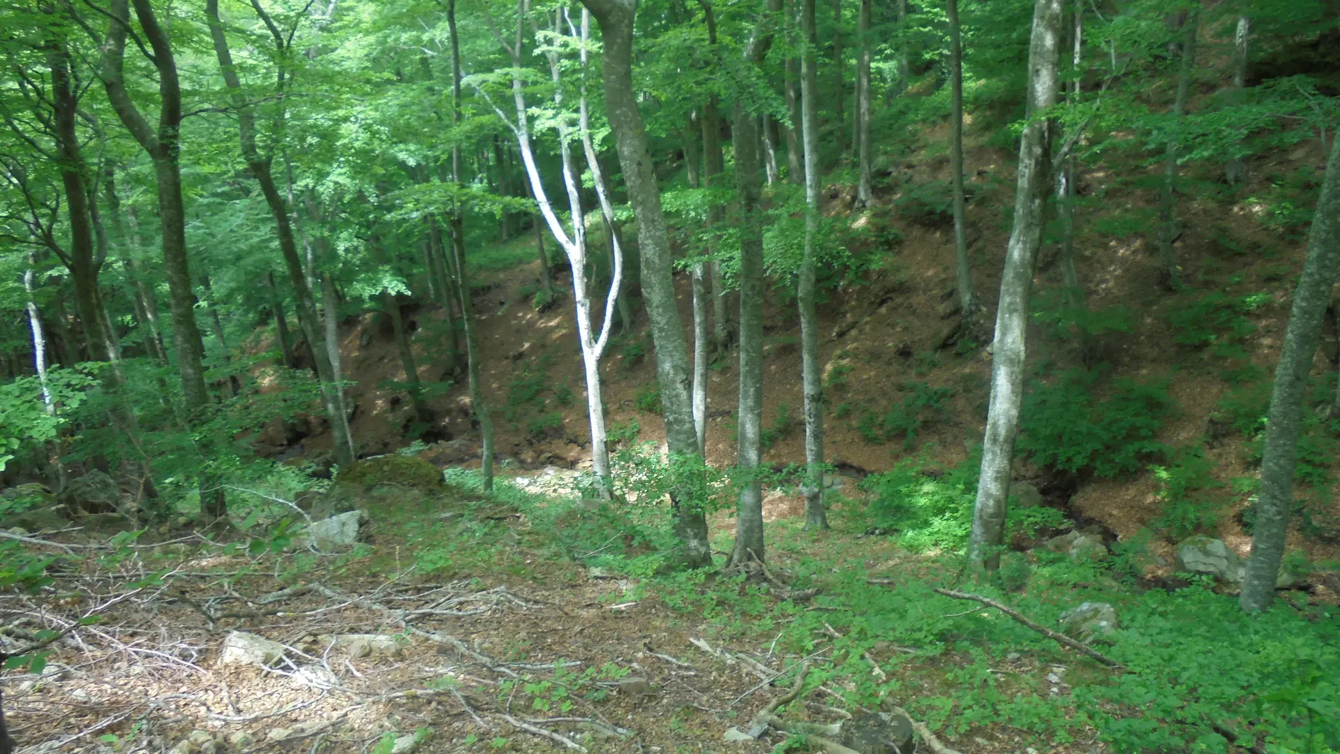 La montagne de Laroque_14