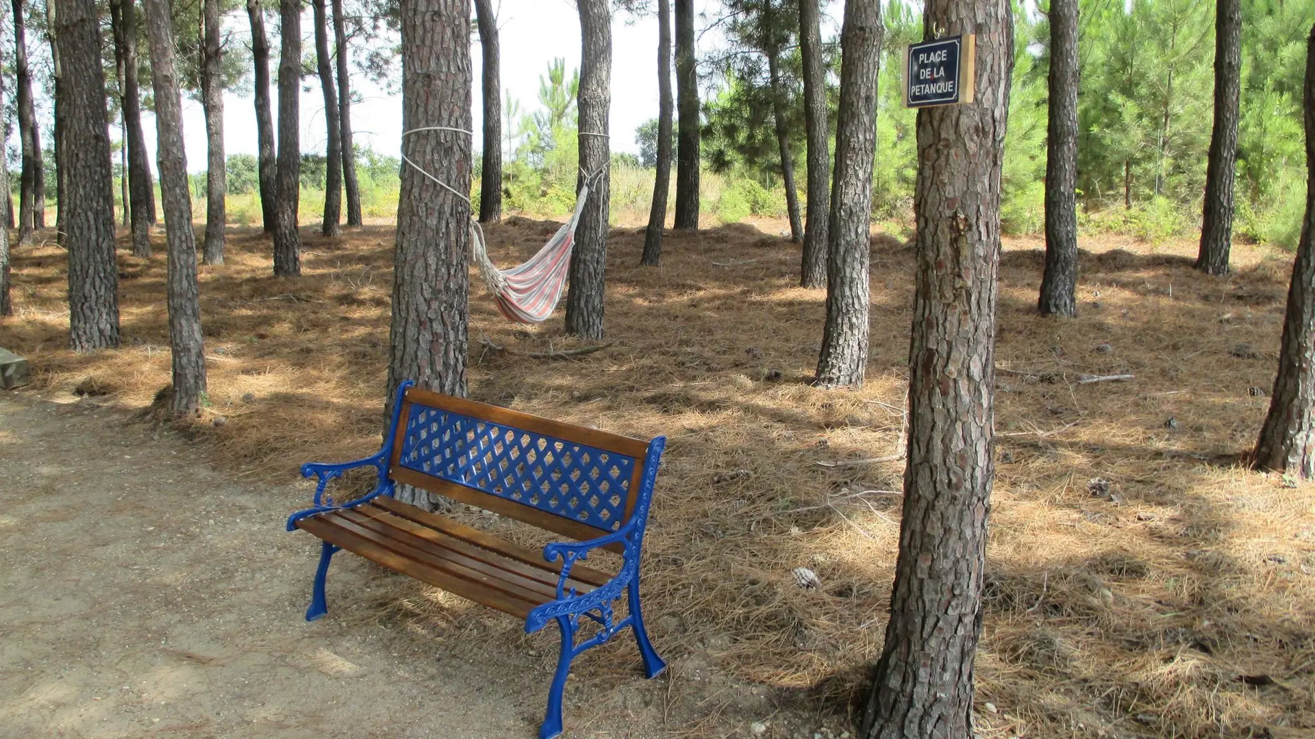 Place de la pétanque_9