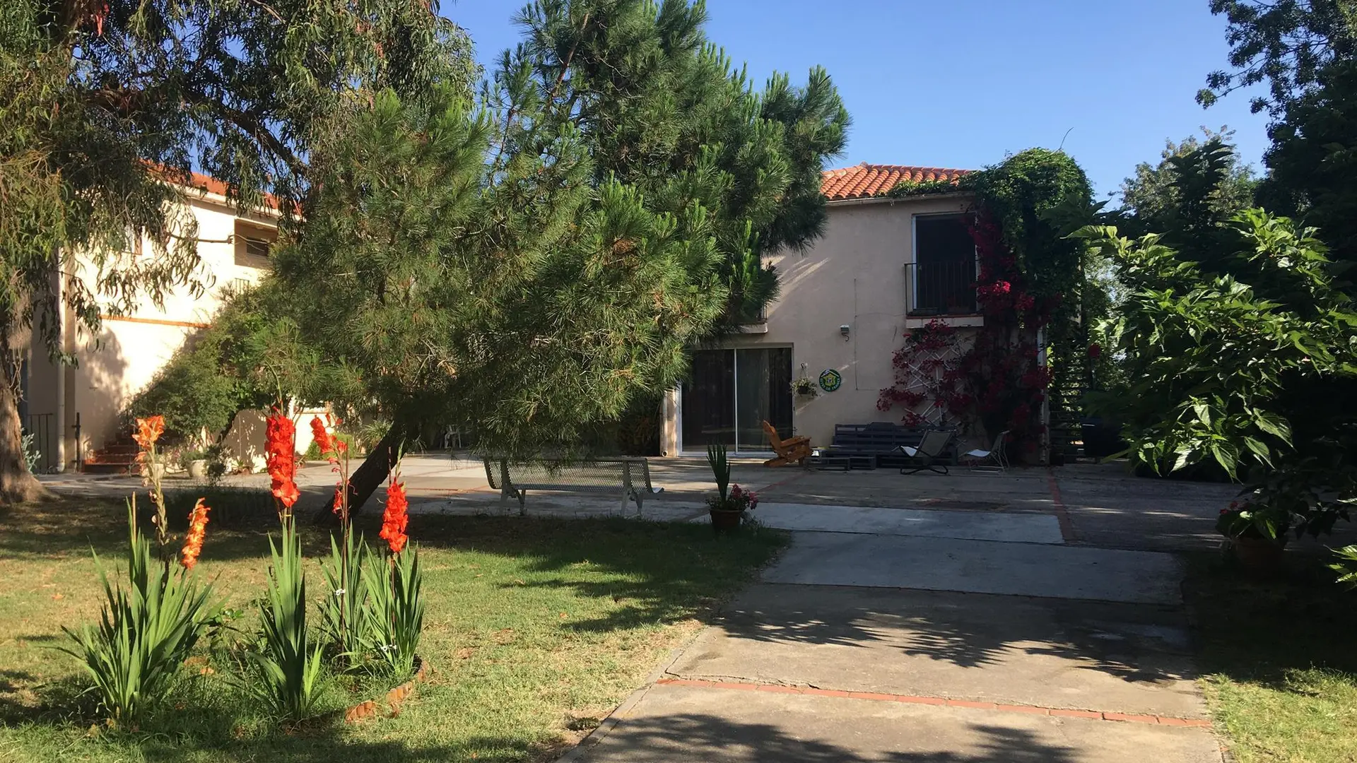 20190628_090459_IMG_0138_2