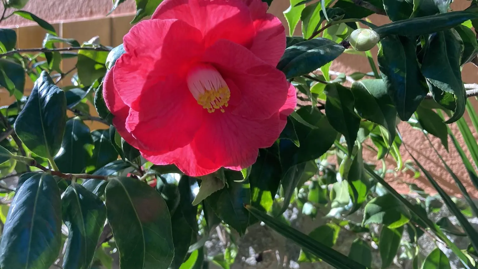 84E3BA77-BC66-4F13-B1BA-53BEFEBC1F91_48