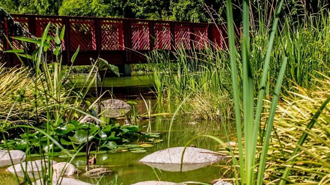 jardin des plantes st cyprien 02 1920px_26