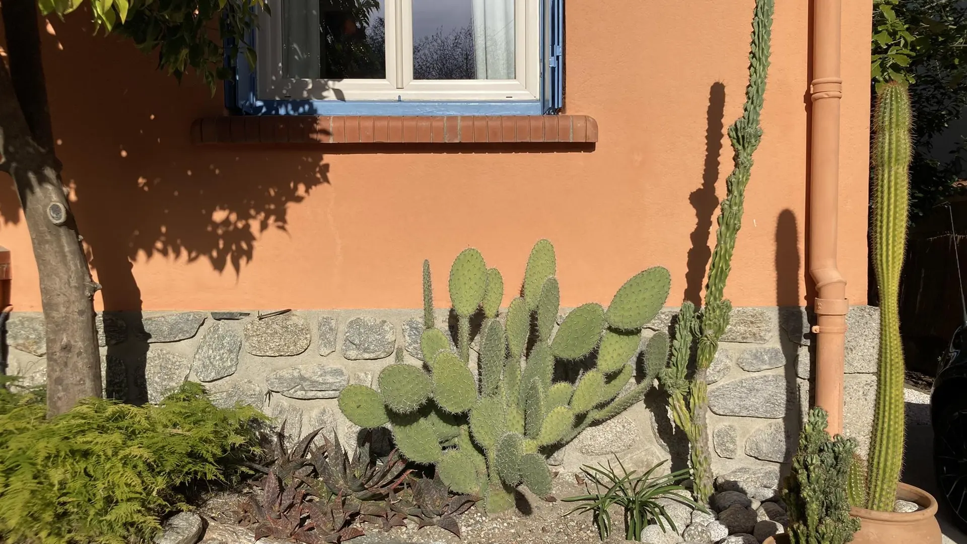 54784564-26B3-4940-8207-F88FA13971DC_39