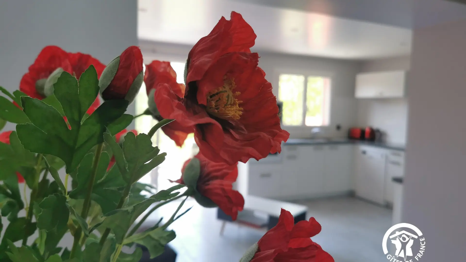 IMG_20221013_133900_14