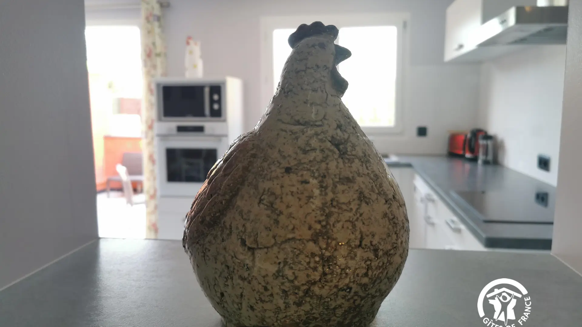 IMG_20221013_134217_12