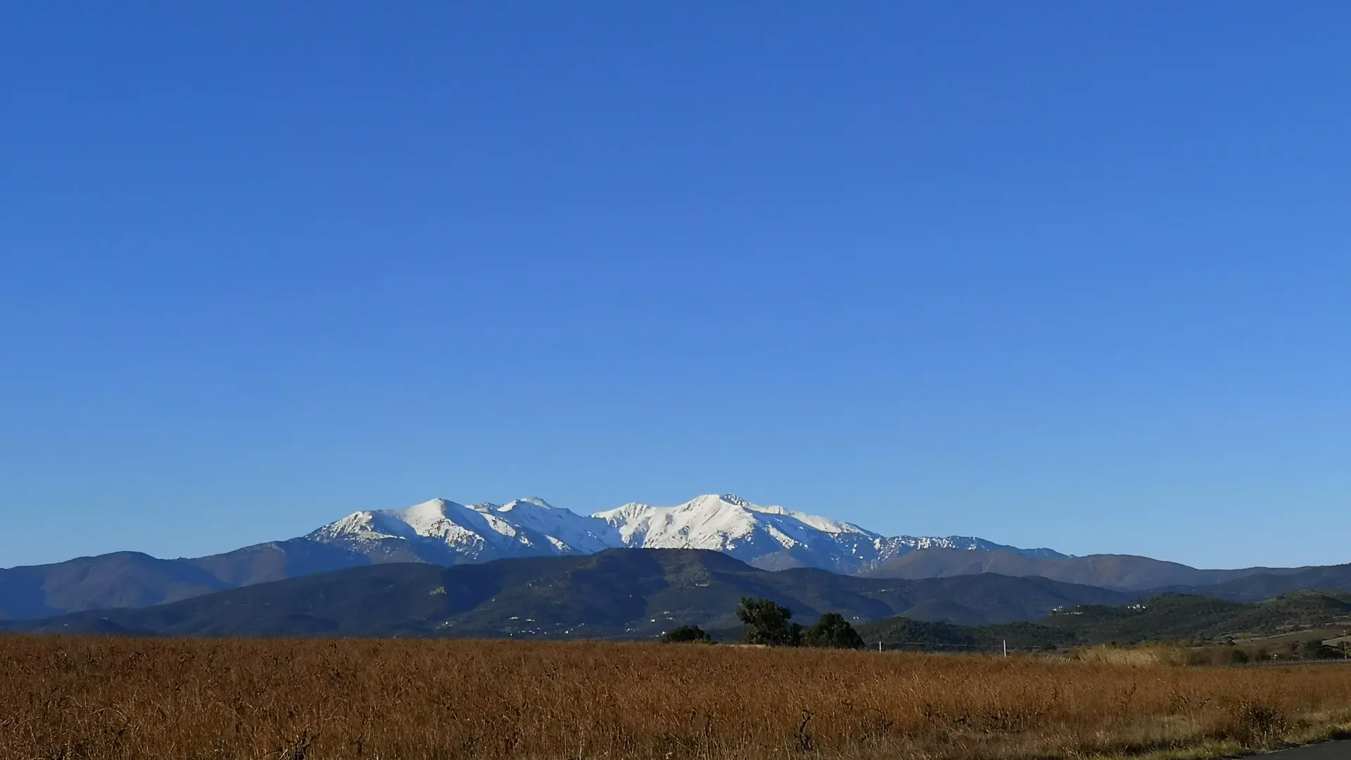 IMG_20220122_094722_35