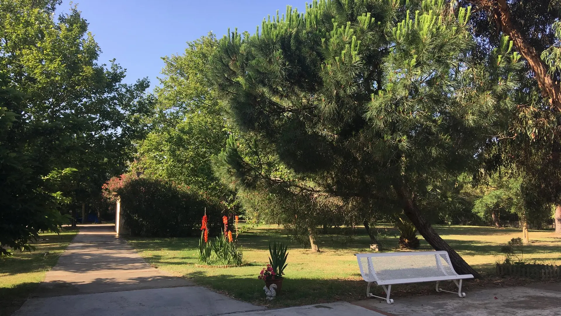 20190628_090524_IMG_0139_31