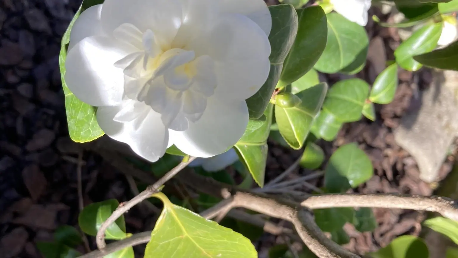 28A3447B-F899-489C-9D70-3903A66A4A41_47