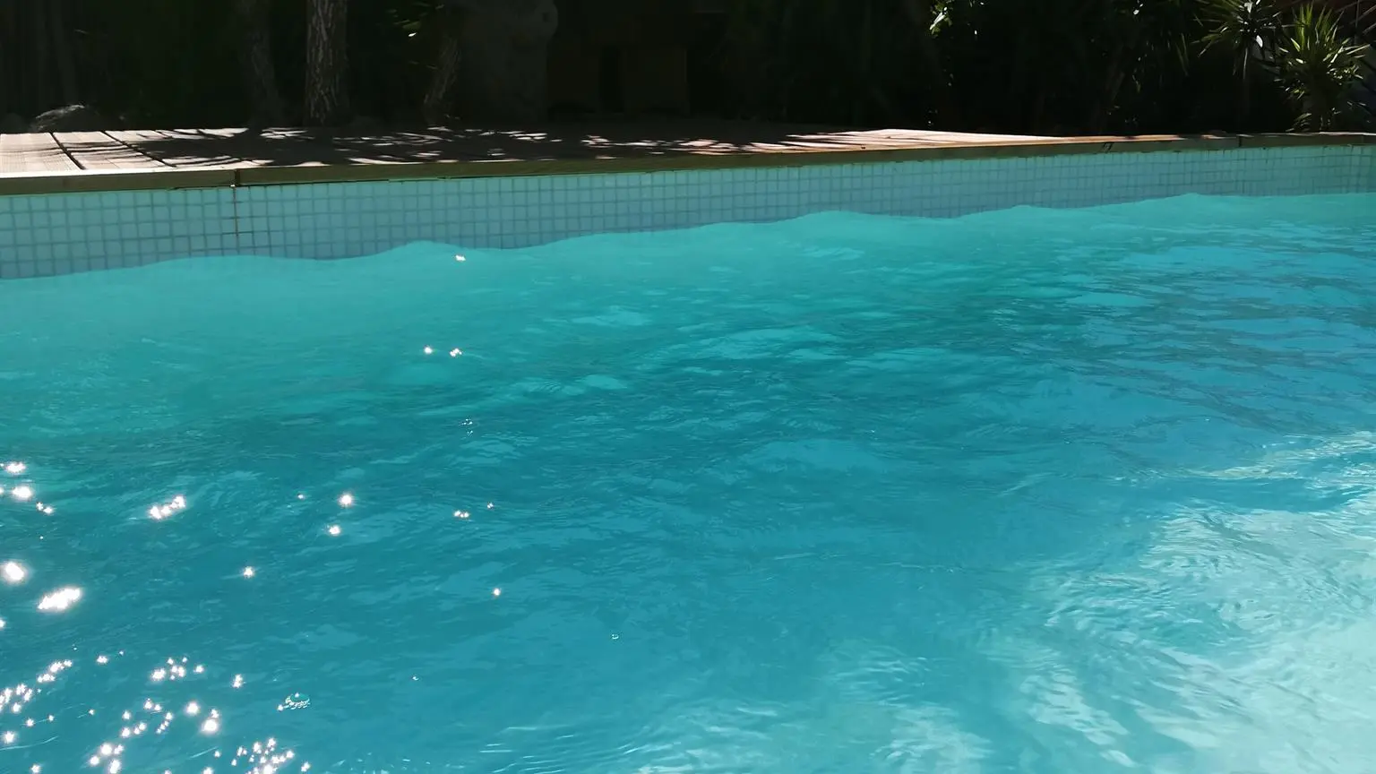 IMG_20200704_1745131_25