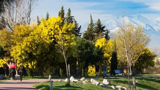 Jardin de la Prade 2_25