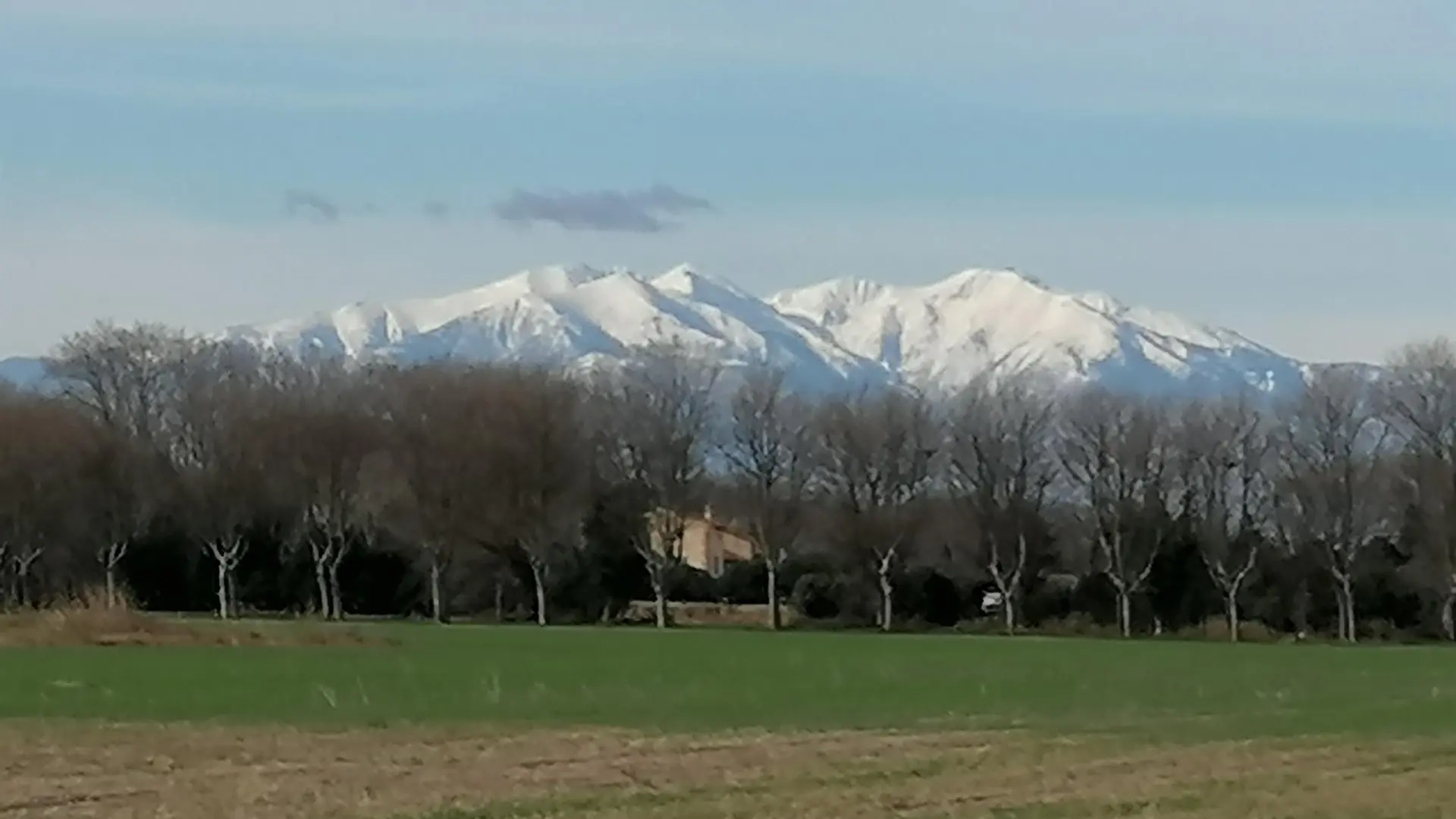 HIVER 2021 LE CANIGOU VU DU MAS_23