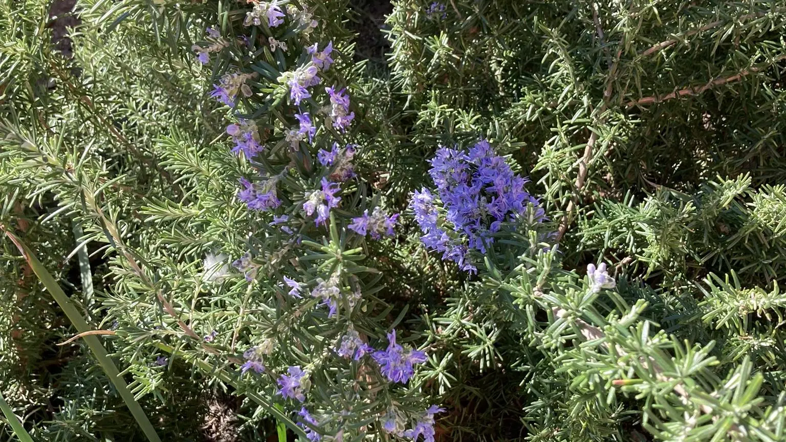 4534CEBB-28F2-413C-B8EA-DDC9D24D01BE_46