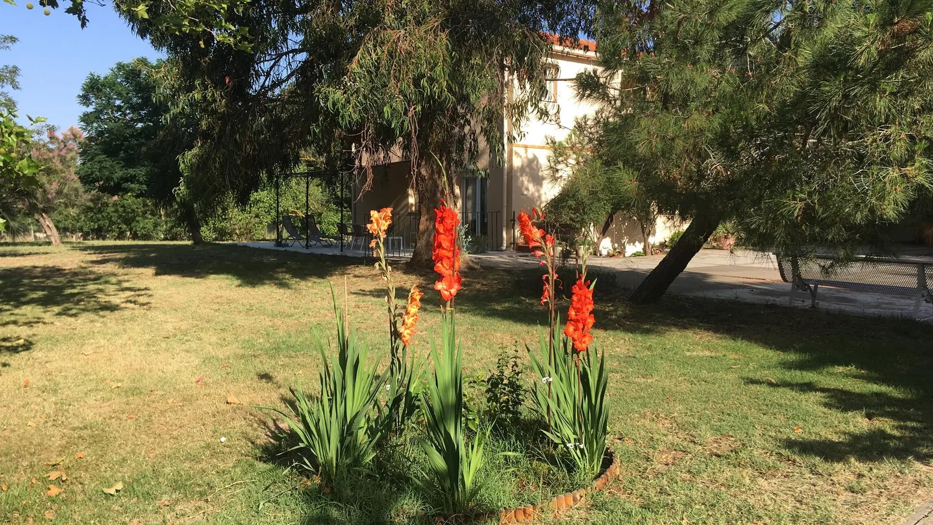 20190628_090431_IMG_0136_30