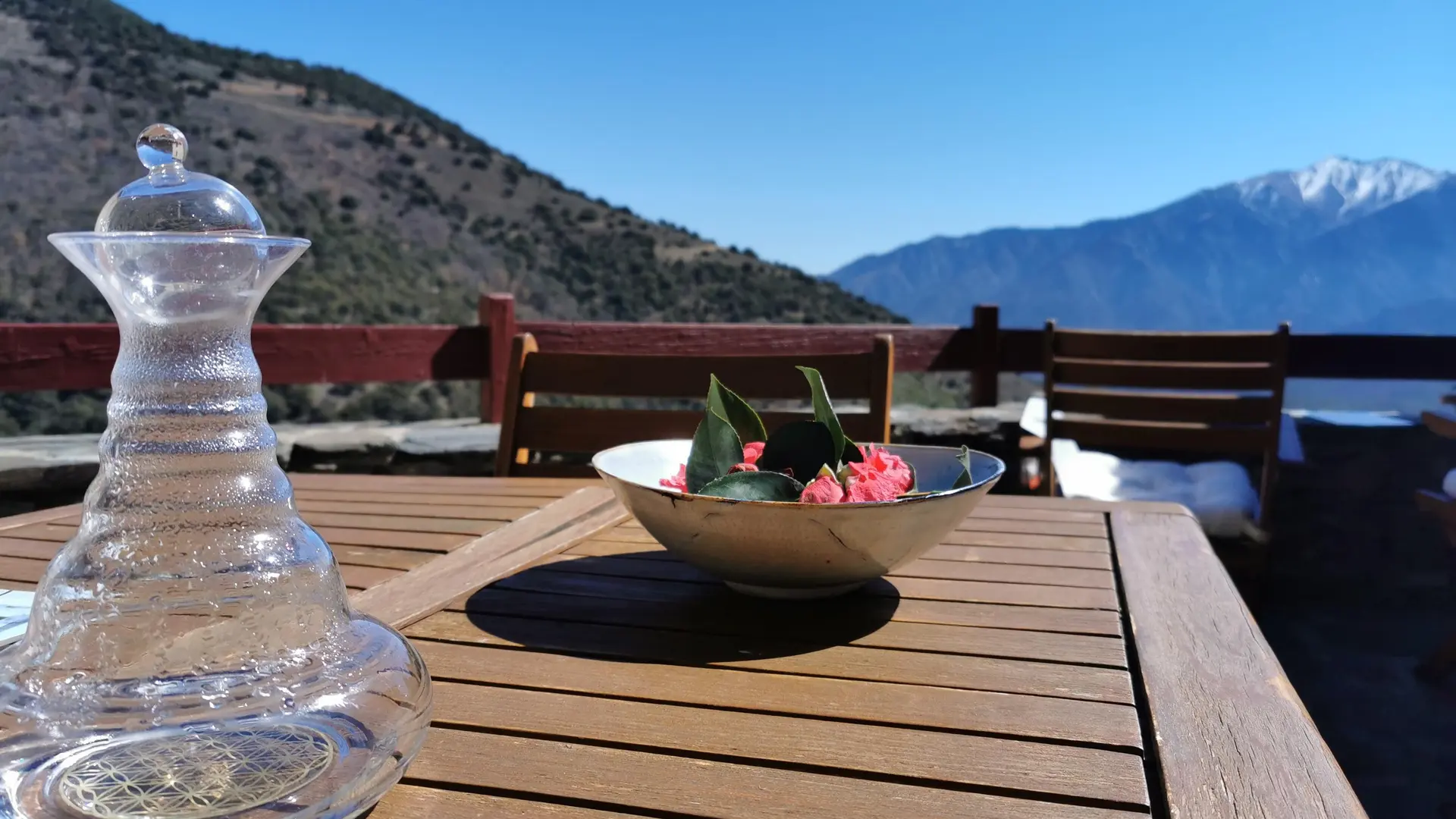 IMG_20230328_123646_17